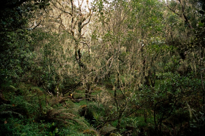 http://laurenceandrieu.com/files/gimgs/th-10_10-13.jpg