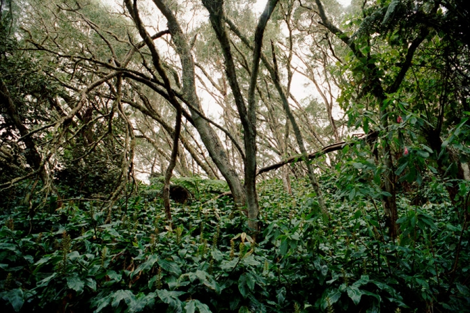 http://laurenceandrieu.com/files/gimgs/th-10_9-5.jpg
