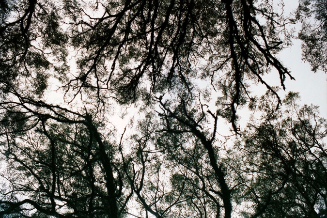 http://laurenceandrieu.com/files/gimgs/th-10_8-35.jpg