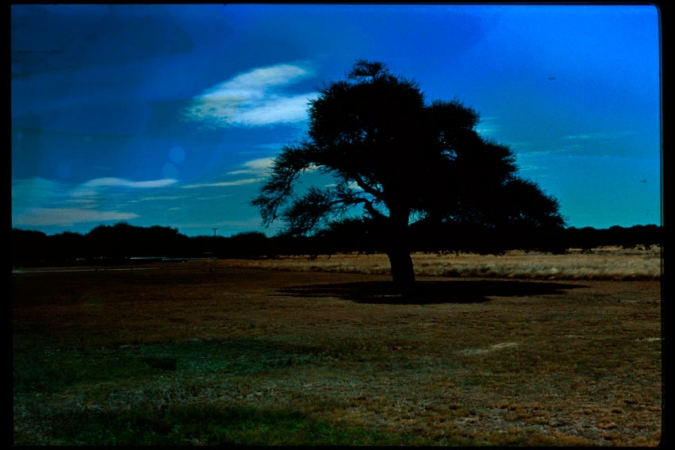 http://laurenceandrieu.com/files/gimgs/th-9_Argentine-3-5.jpg