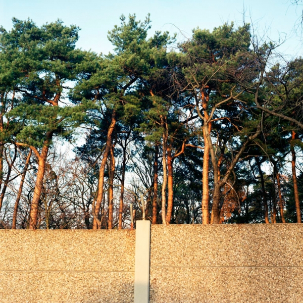 http://laurenceandrieu.com/files/gimgs/th-8_118.jpg