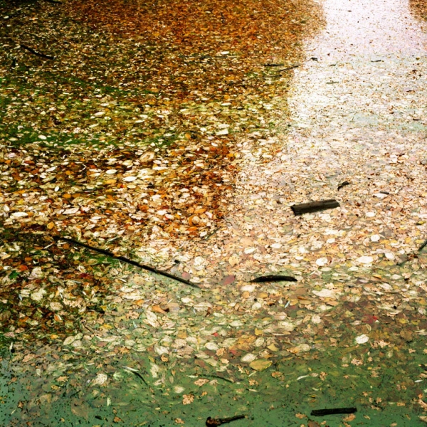 http://laurenceandrieu.com/files/gimgs/th-8_126.jpg