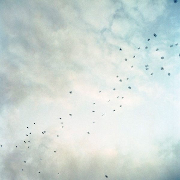 http://laurenceandrieu.com/files/gimgs/th-8_120.jpg