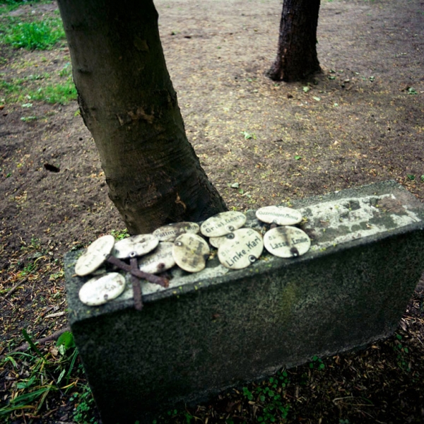 http://laurenceandrieu.com/files/gimgs/th-8_106.jpg