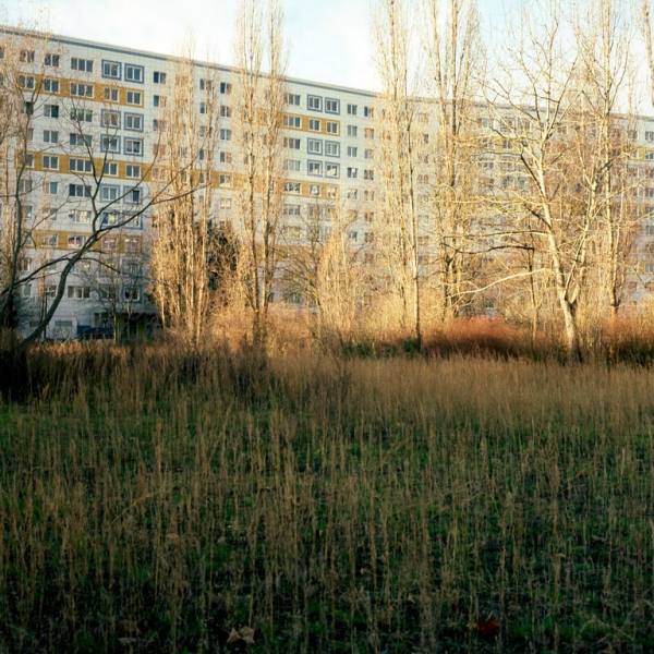 http://laurenceandrieu.com/files/gimgs/th-8_114.jpg